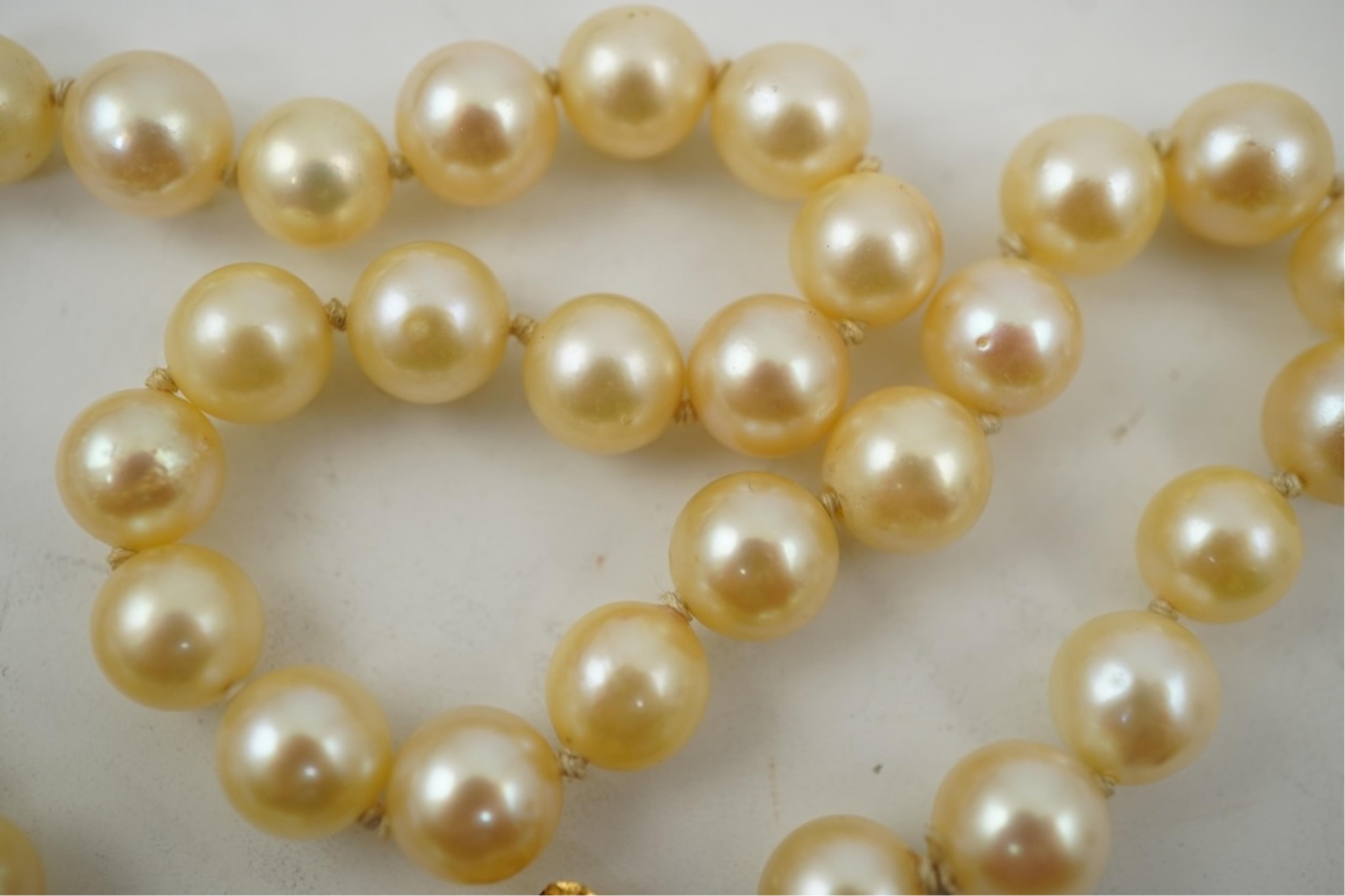 A single strand cultured pearl necklace, wit an 18ct gold, ruby and seed pearl cluster set clasp, 40cm.